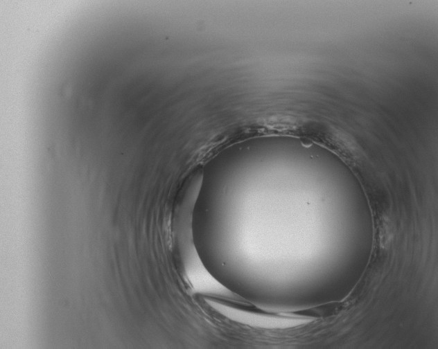 X0000080111298200612221754