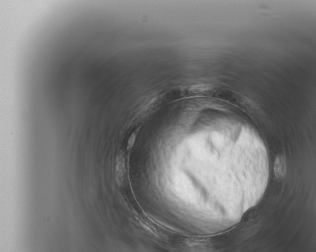 X0000080111299200612221754