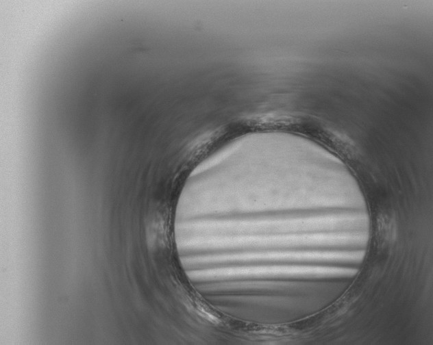 X0000080111300200612221754