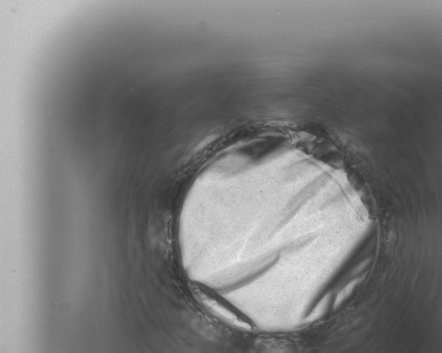 X0000080111301200612221754