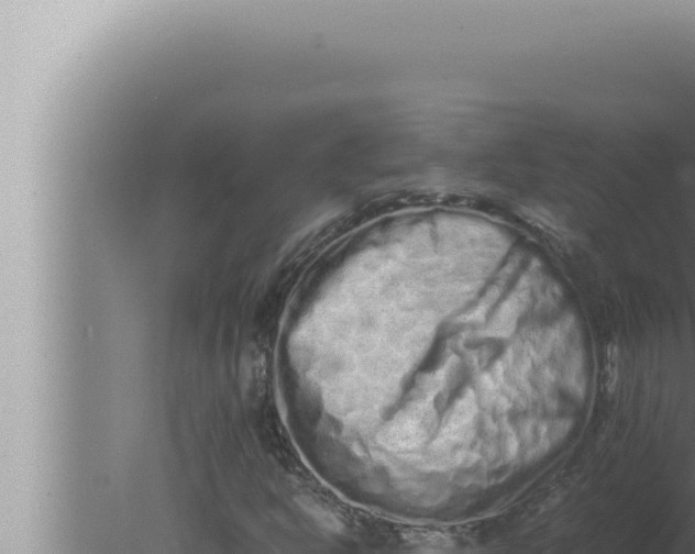 X0000080111302200612221754