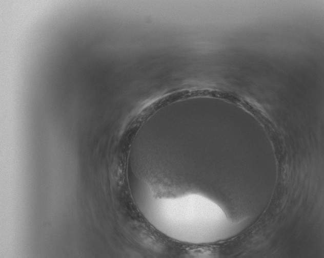 X0000080111303200612221754