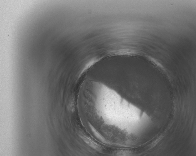 X0000080111306200612221754