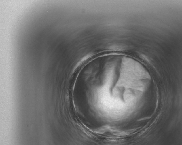 X0000080111307200612221754