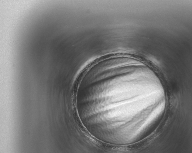 X0000080111310200612221754