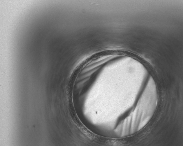 X0000080111311200612221754