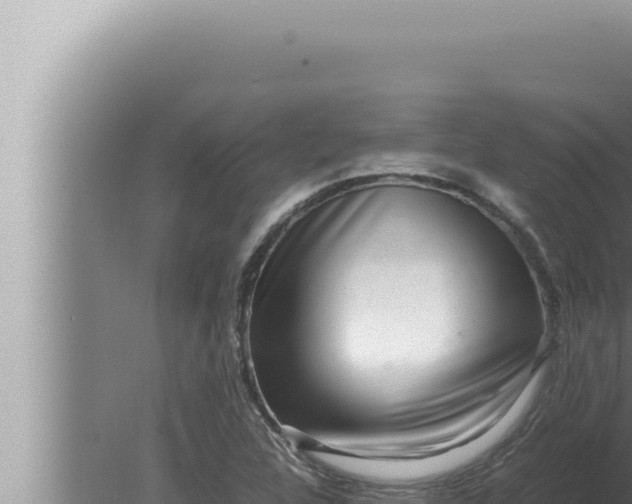 X0000080111312200612221754