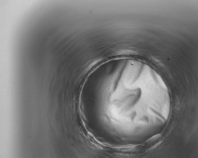 X0000080111313200612221754