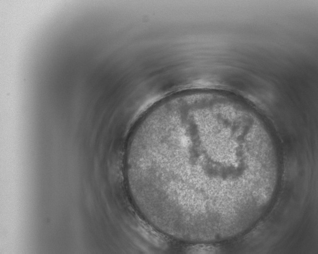 X0000080111314200612221754