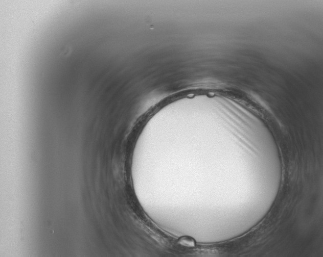 X0000080111315200612221754