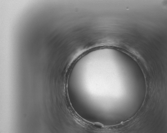 X0000080111316200612221754