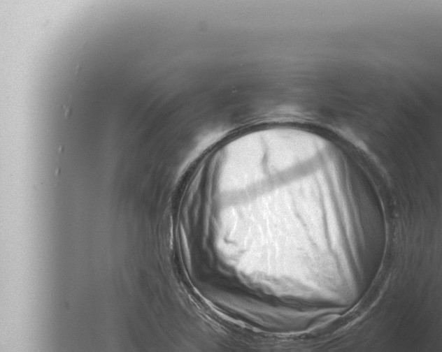 X0000080111317200612221754