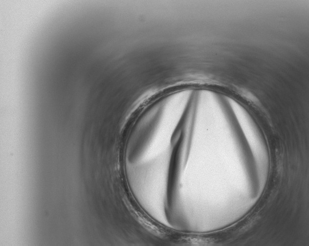 X0000080111318200612221754