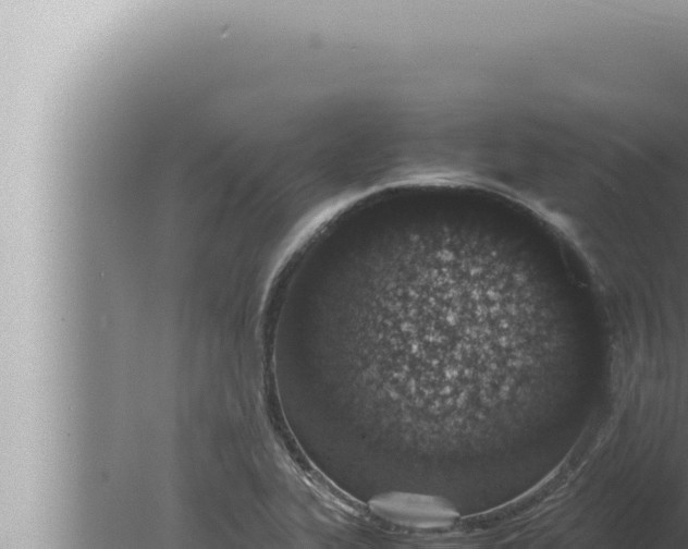 X0000080111319200612221754