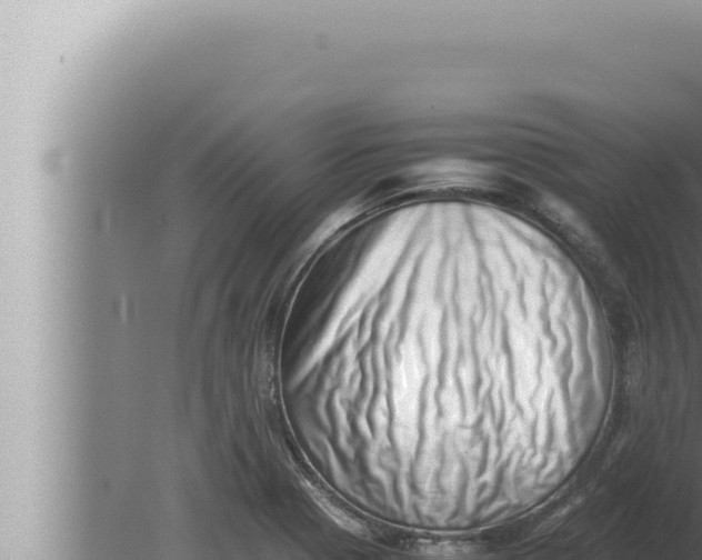 X0000080111321200612221754