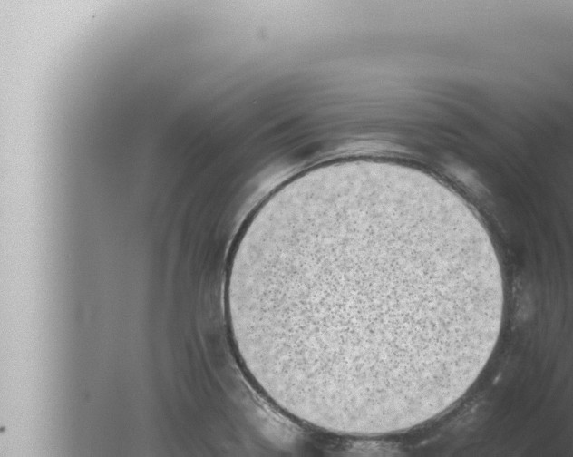 X0000080111322200612221754