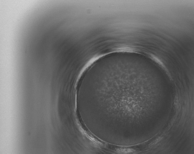 X0000080111323200612221754