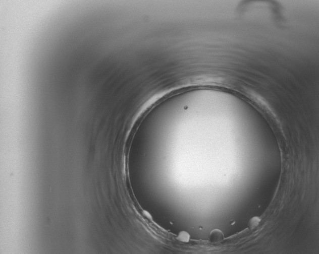 X0000080111324200612221754