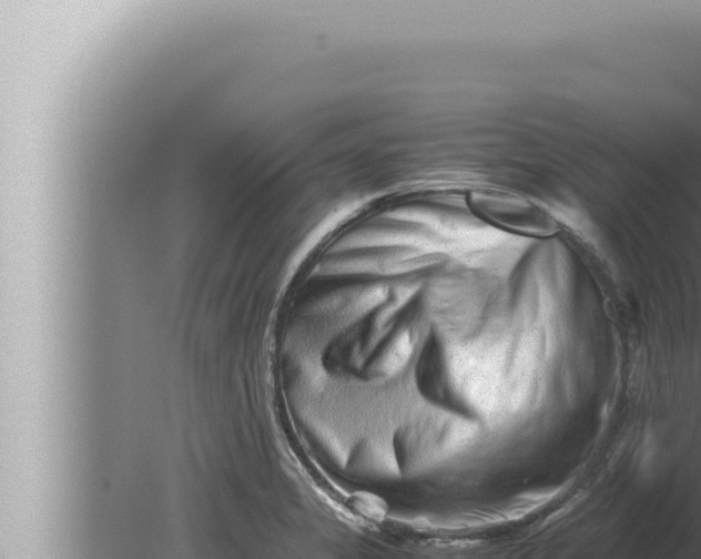 X0000080111325200612221754