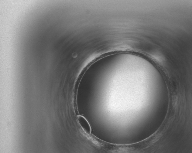 X0000080111326200612221754