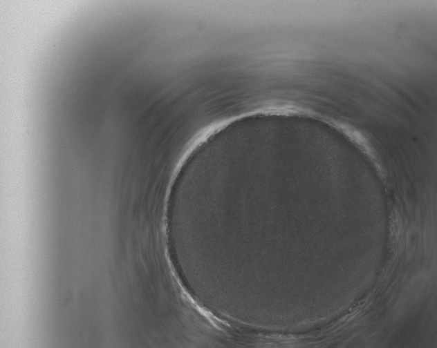 X0000080111327200612221754