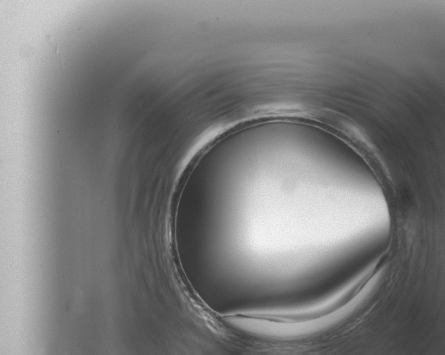 X0000080111328200612221754