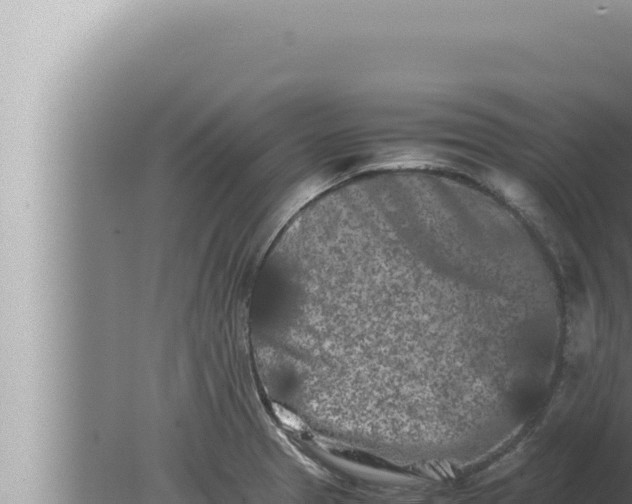 X0000080111329200612221754