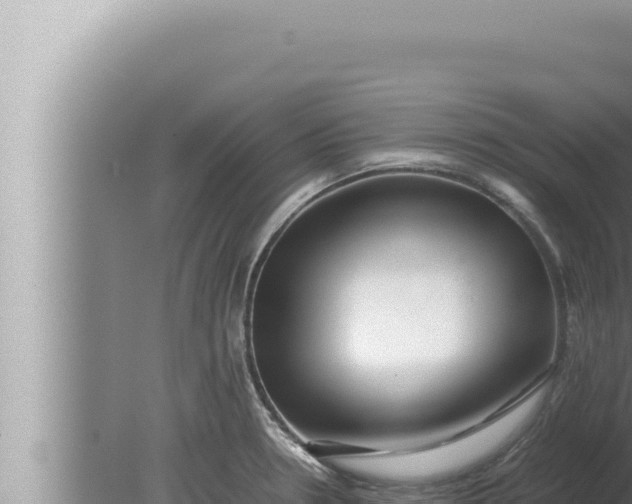 X0000080111330200612221754