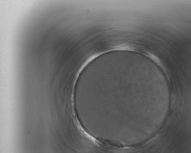 X0000080111331200612221755