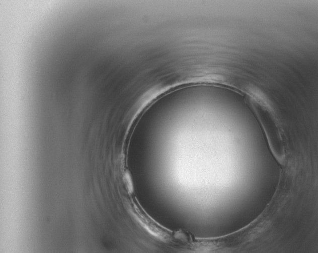 X0000080111332200612221755