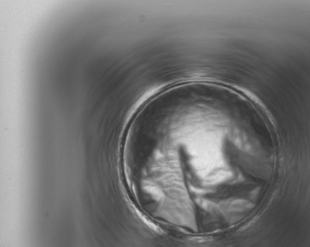 X0000080111333200612221755