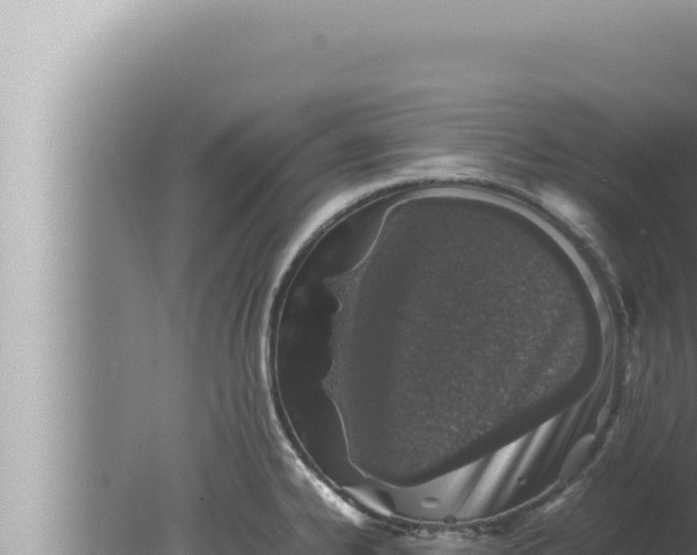 X0000080111334200612221755