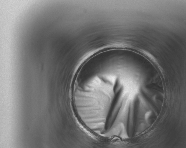 X0000080111335200612221755