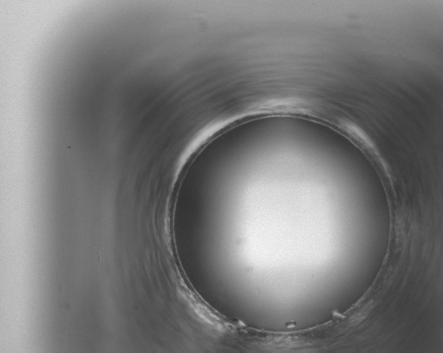 X0000080111336200612221755