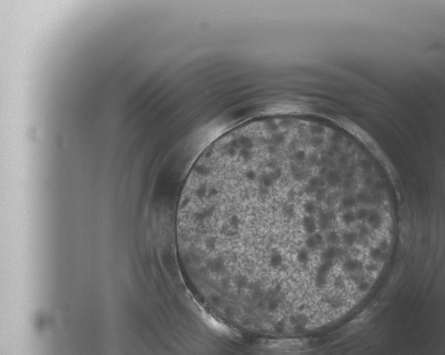 X0000080111337200612221755