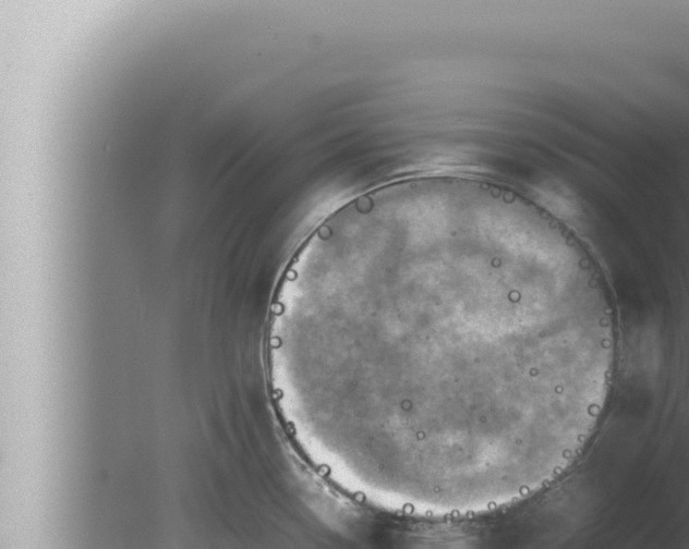 X0000080111338200612221755