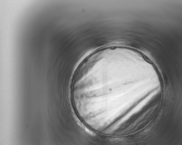 X0000080111341200612221755