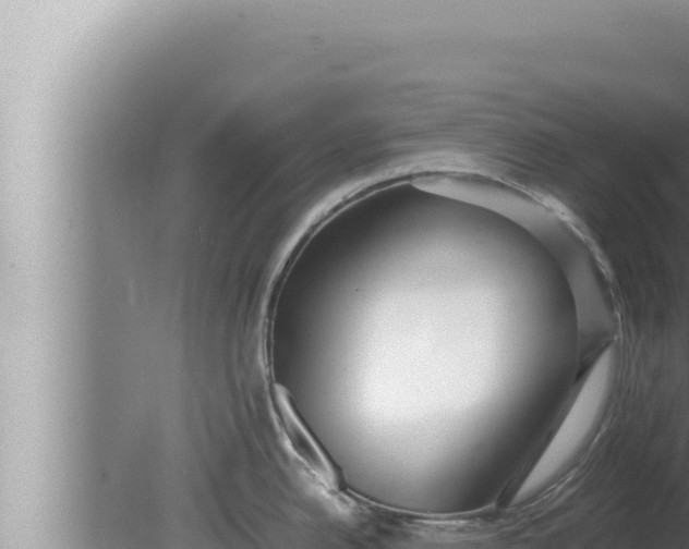 X0000080111342200612221755