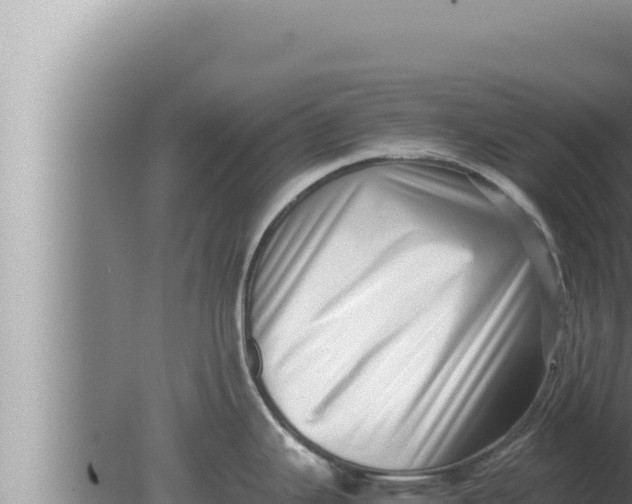 X0000080111343200612221755