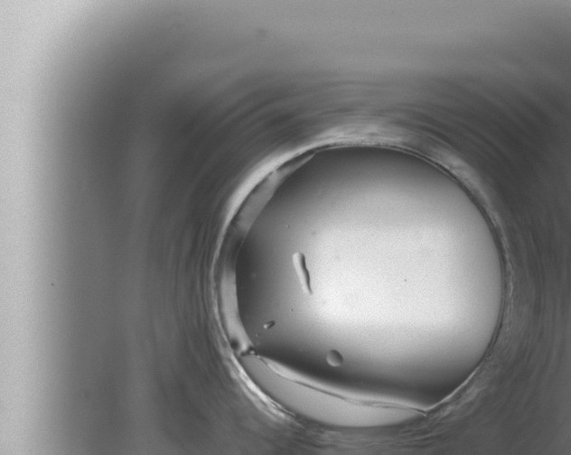 X0000080111344200612221755