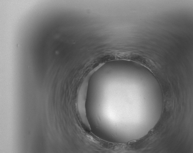 X0000080111345200612221754