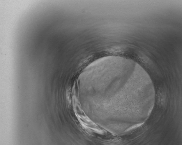 X0000080111346200612221754