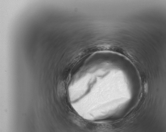 X0000080111347200612221754