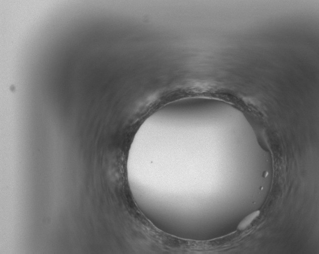 X0000080111349200612221754