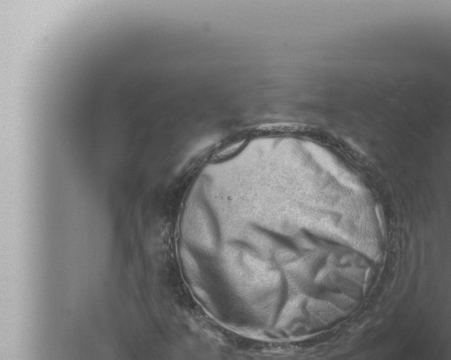 X0000080111351200612221754