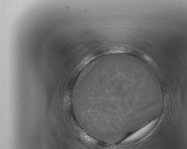 X0000080111353200612221754