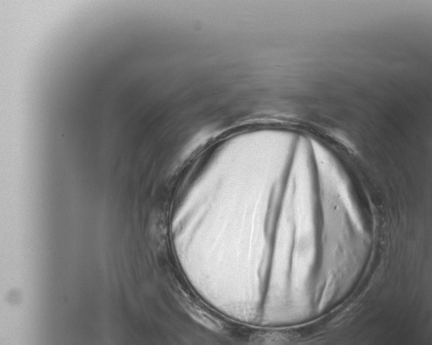 X0000080111355200612221754