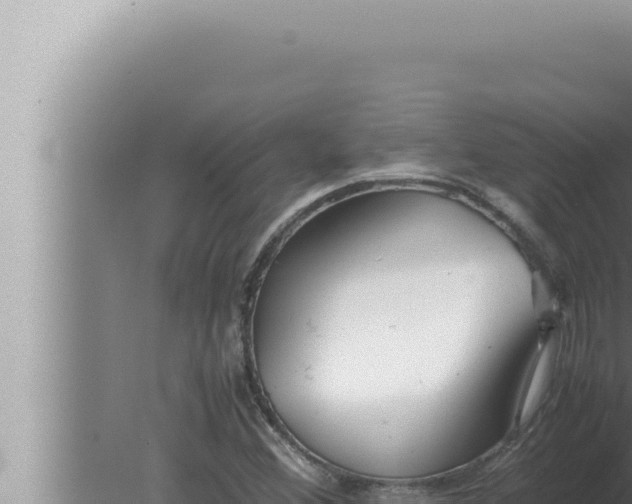 X0000080111356200612221754