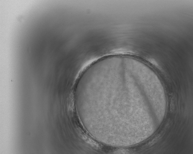 X0000080111358200612221754