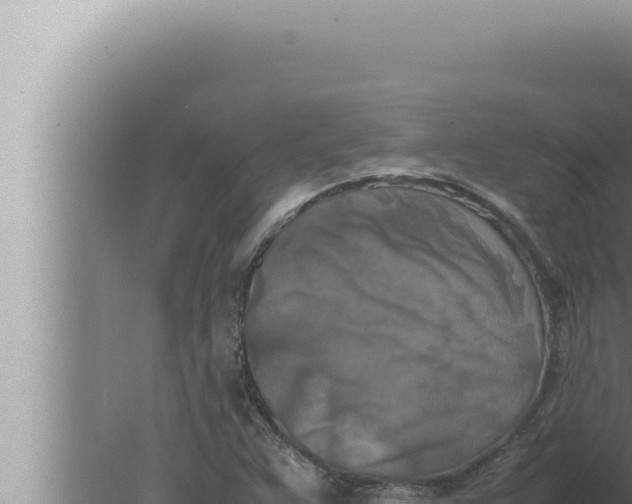 X0000080111359200612221754